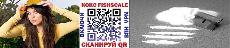 Купить  Чаплыгин  Кокаин VHQ 